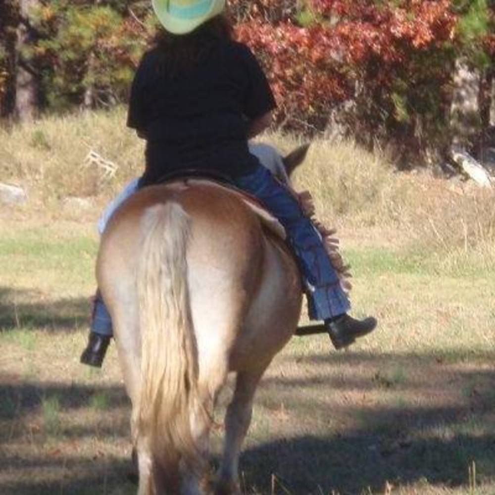 Meet your Posher, Barbara